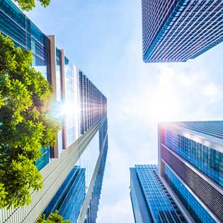 immeubles de bureaux avec des arbres